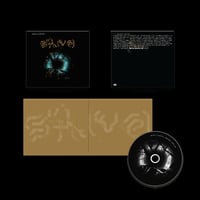 Image 3 of [PRE-ORDER] Seefeel "Sol.Hz" Clear LP / CD