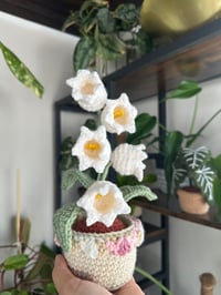Image 1 of Crochet Lily of the Valley 