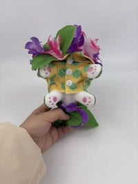 Image 4 of Island Shark