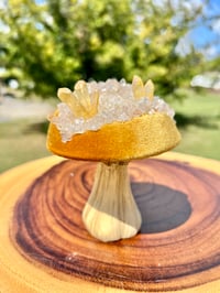 Image 6 of Handmade Geode Mushies