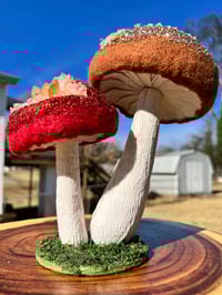 Image 8 of Handmade Geode Mushies