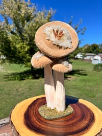 Image 10 of Handmade Geode Mushies