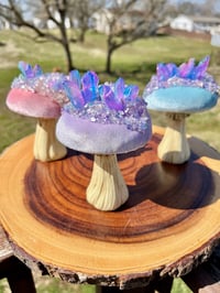 Image 1 of Handmade Geode Mushies