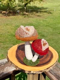 Image 9 of Handmade Geode Mushies