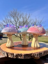 Image 2 of Handmade Geode Mushies