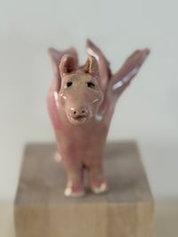 Image 1 of Donkey Angel: Pink Body
