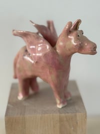 Image 2 of Donkey Angel: Pink Body