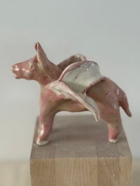 Image 4 of Donkey Angel; Pink White Wings