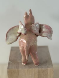 Image 5 of Donkey Angel; Pink White Wings
