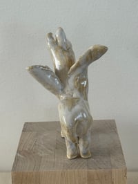 Image 5 of Donkey Angel: Baby White Yellow