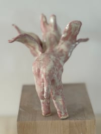 Image 5 of Donkey Angel: One Eyed Pink White