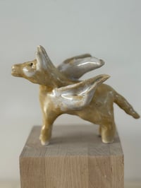 Image 4 of Donkey Angel: Yellow White Wings