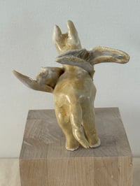 Image 6 of Donkey Angel: Yellow White Wings