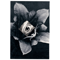 Image 1 of Growthrings - live at Vibra Berlin 2025 (V55)