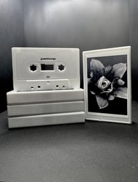 Image 3 of Growthrings - live at Vibra Berlin 2025 (V55)