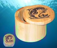 Dolphin Salt Box