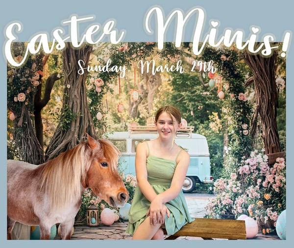 Image of Easter Minis with a Mini Horse! 