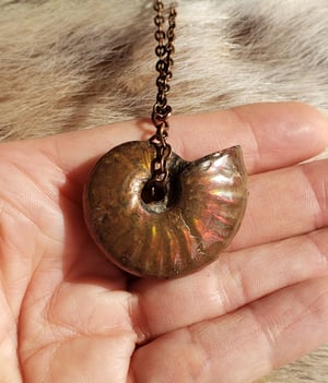 Image of Ammonite Fossil Necklace