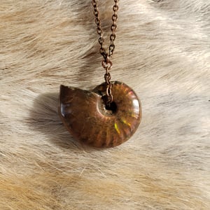 Image of Ammonite Fossil Necklace