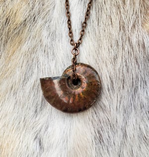 Image of Ammonite Fossil Necklace
