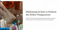 Image 1 of 2026 Phlebotomy Basics Study Guide Elevated 