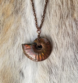 Image of Ammonite Fossil Necklace