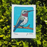 Image 1 of Hummingbird- Blue Limited Edition Gocco Screenprint ACEO
