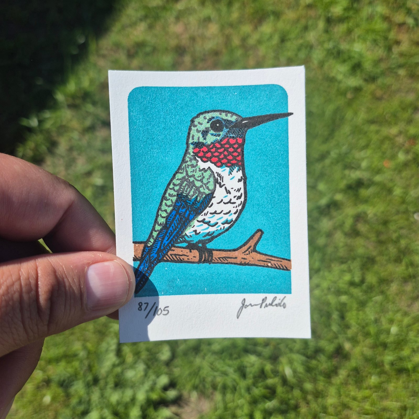 Hummingbird- Blue Limited Edition Gocco Screenprint ACEO | Artwork