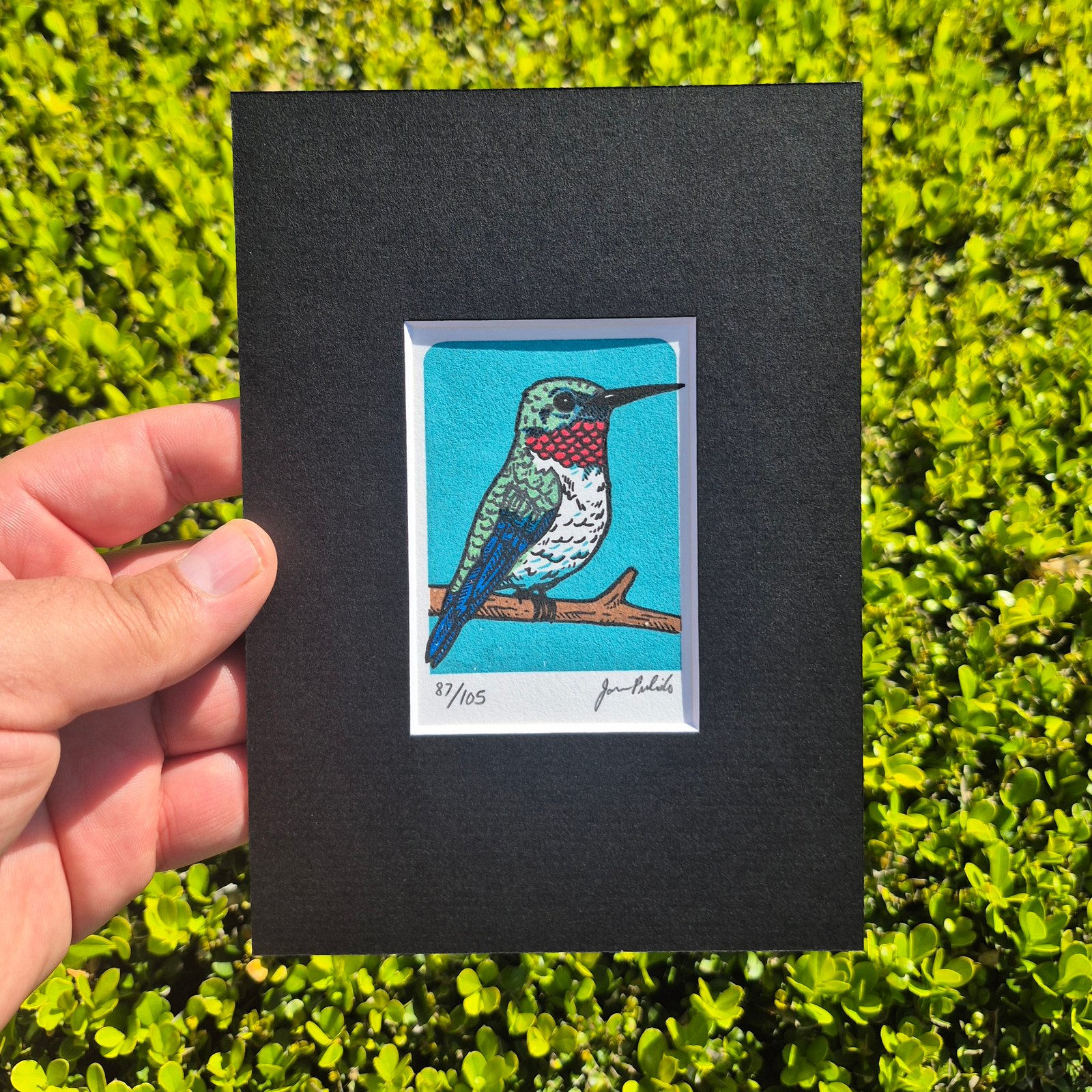 Hummingbird- Blue Limited Edition Gocco Screenprint ACEO | Artwork
