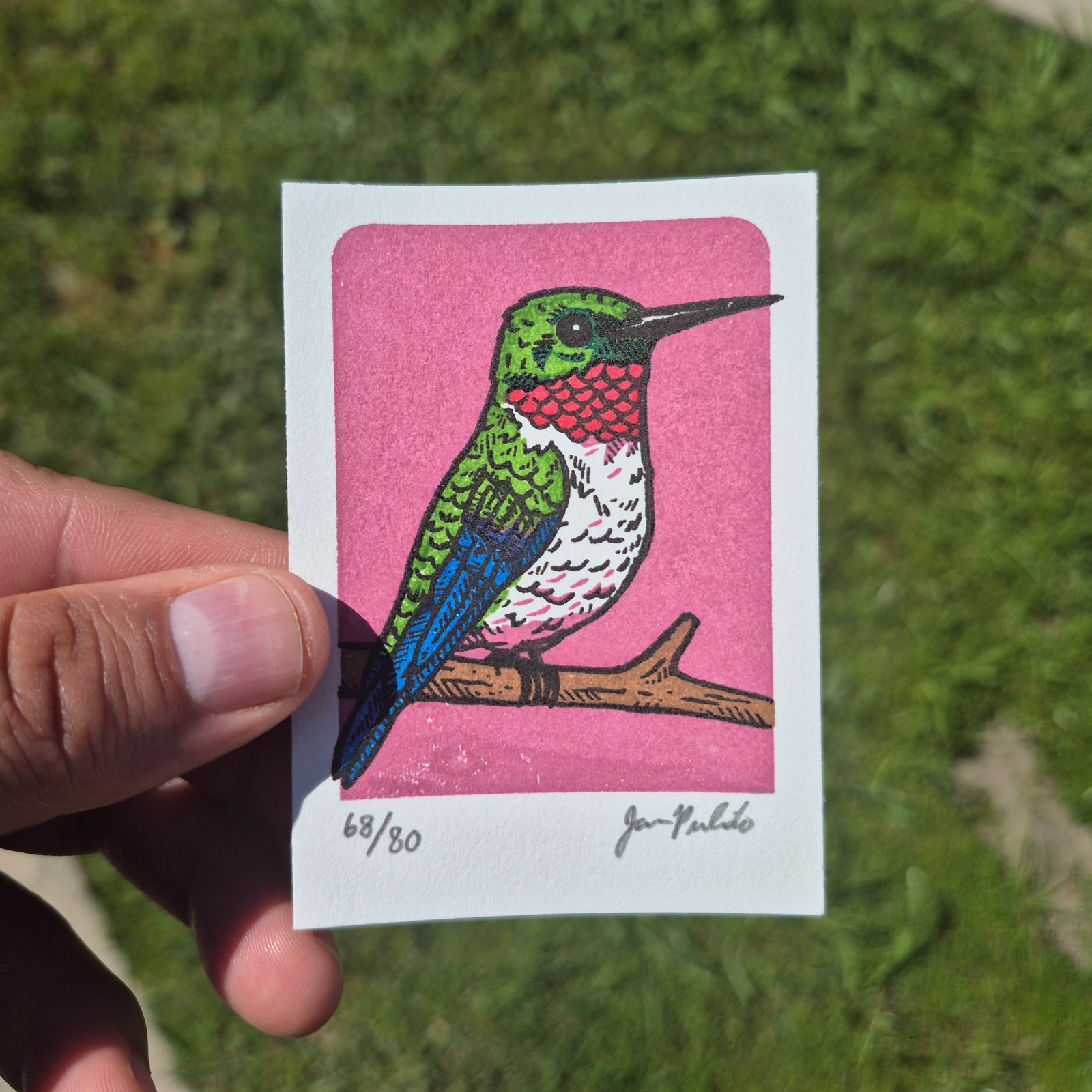 Hummingbird- Rose Limited Edition Gocco Screenprint ACEO | Artwork