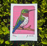 Image 1 of Hummingbird- Rose Limited Edition Gocco Screenprint ACEO