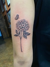 Image 7 of FINE LINE