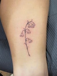 Image 3 of FINE LINE