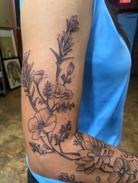 Image 5 of FINE LINE