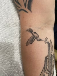 Image 4 of FINE LINE