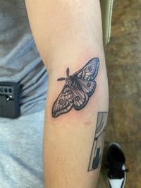 Image 12 of FINE LINE