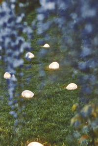 Image 3 of Solar Glass Pebble Light