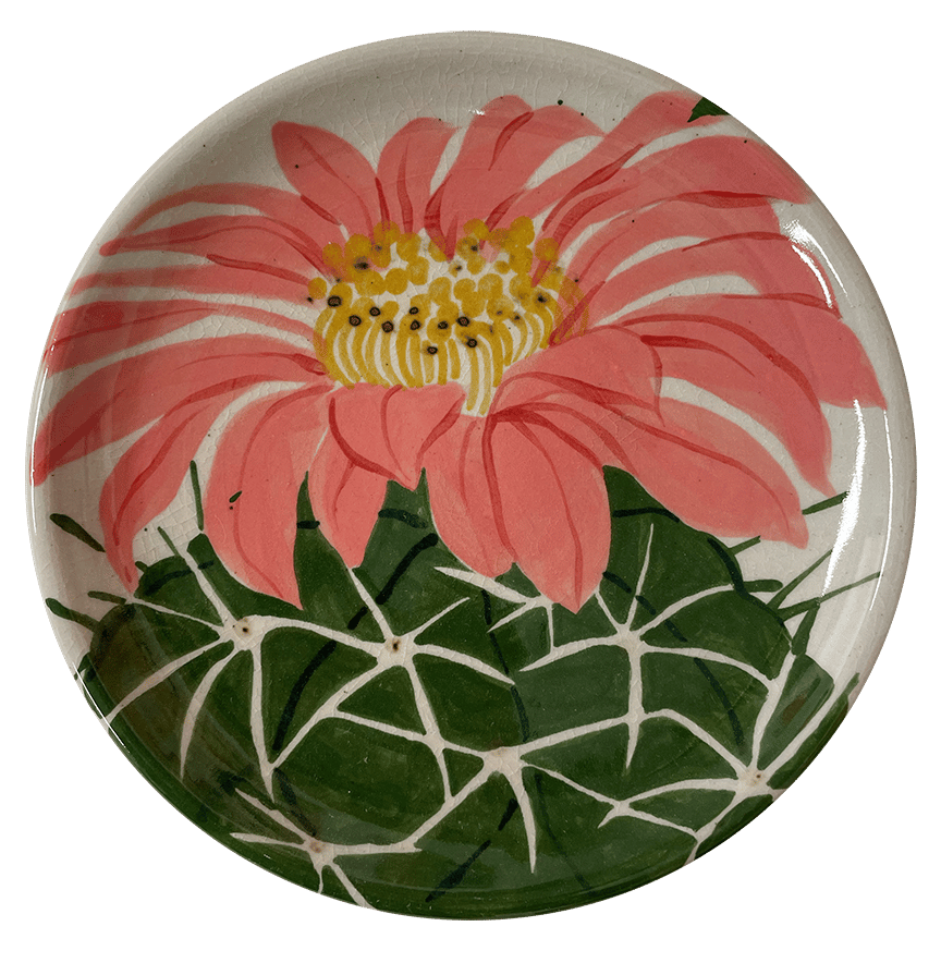 Image of Pink Cactus Flower medium plate