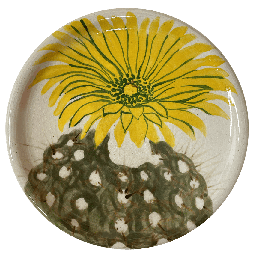 Image of Yellow Cactus Flower medium plate
