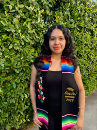 Image 3 of Floral Sash 2026