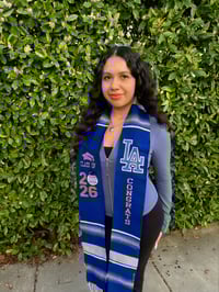 Image 3 of Blue Sash