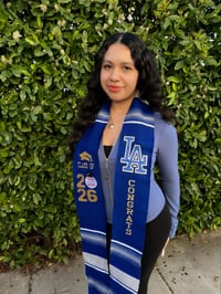 Image 4 of Blue Sash