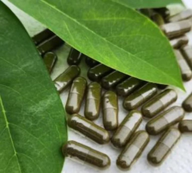 SUPPLEMENTS. T1 Male. Maya Electric. Drink Electra. Olive Leaf. Soursop. Bitter Melon. Sarsaparilla