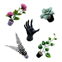 Image 7 of House of Webs Hide