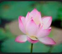 Image 1 of Moment  Reflection 