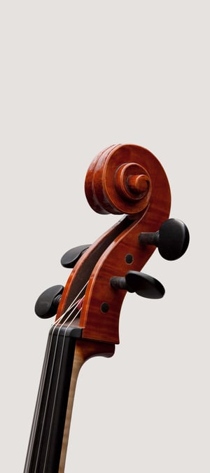 Image of Cello „Davidoff“