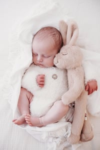 Image 1 of Super soft Bunsie Bunny 