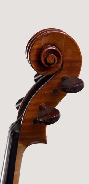 Image of Viola „Amondans“ 41cm