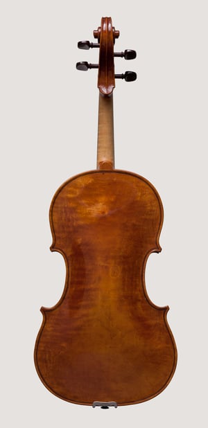 Image of Viola „Amondans“ 41cm