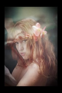 Image 1 of The Orchid 